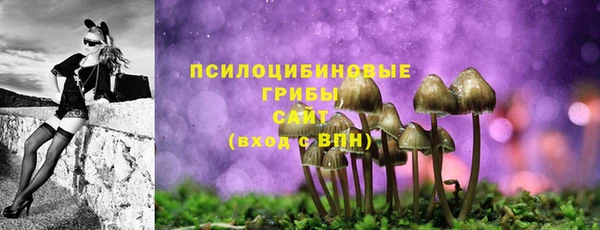 герыч Лагань