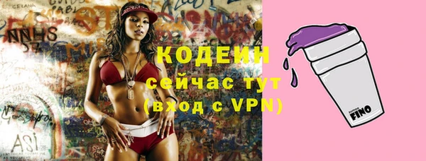 a pvp Билибино
