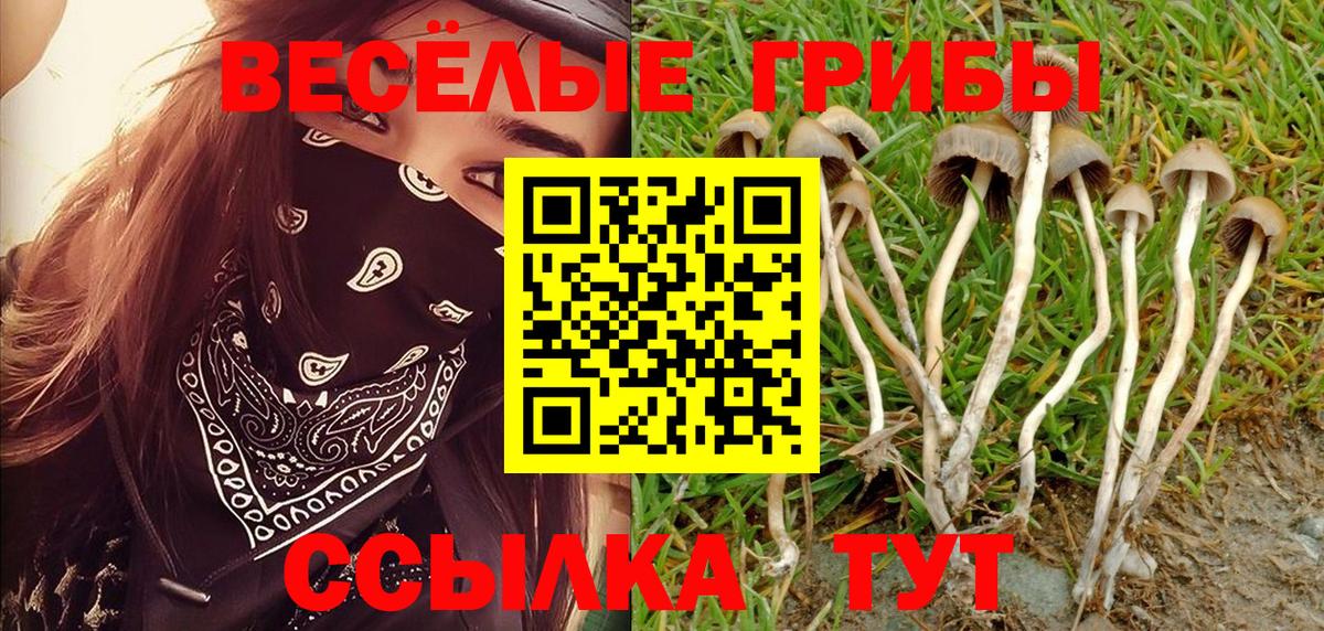 Галлюциногенные грибы GOLDEN TEACHER Мирный